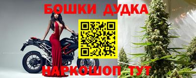 спиды Канаш
