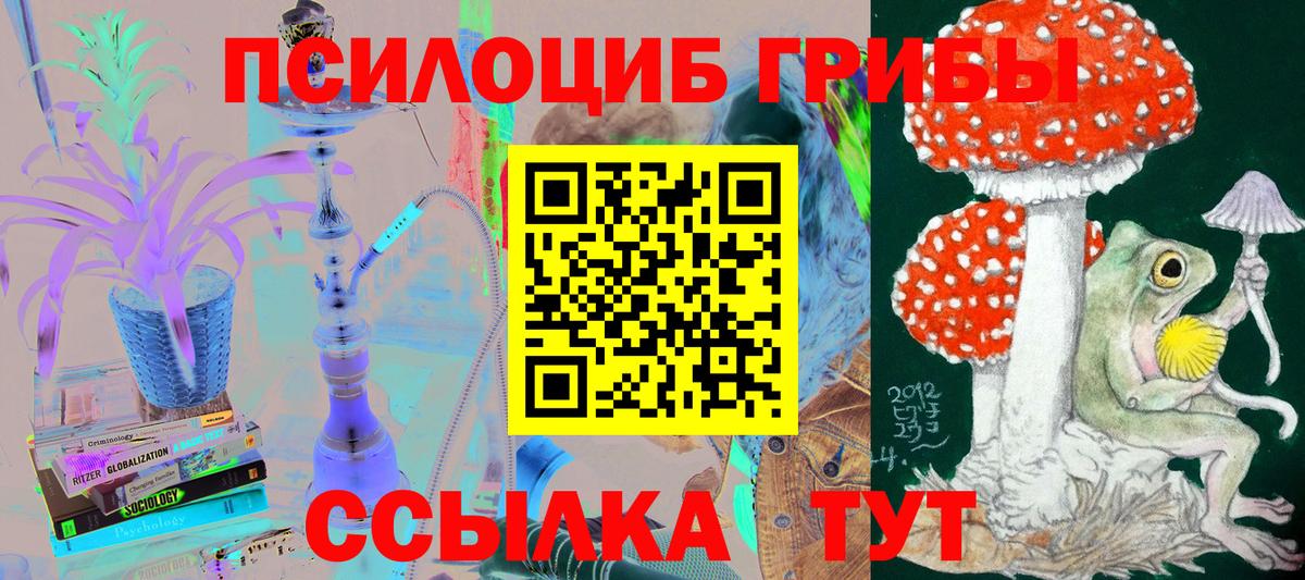 Лесной  Галлюциногенные грибы MAGIC MUSHROOMS  Вход с VPN 